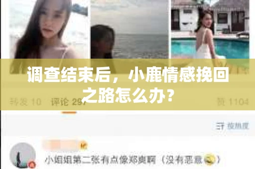 调查结束后，小鹿情感挽回之路怎么办？