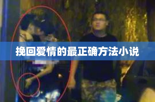 挽回爱情的最正确方法小说