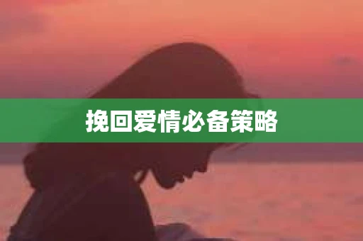 挽回爱情必备策略