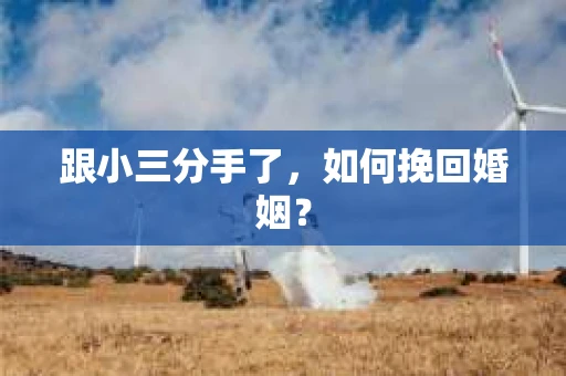 跟小三分手了，如何挽回婚姻？