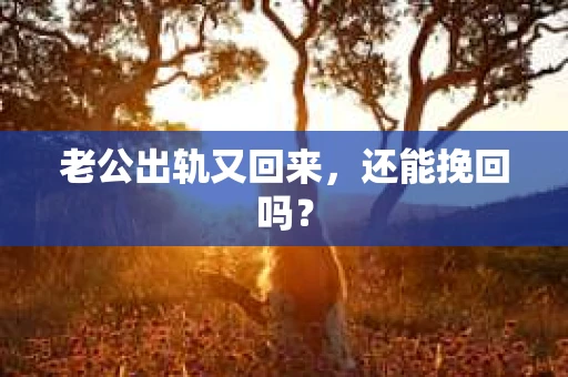 老公出轨又回来，还能挽回吗？