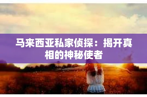 马来西亚私家侦探：揭开真相的神秘使者