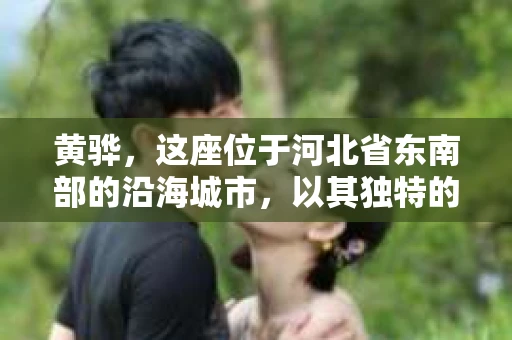黄骅，这座位于河北省东南部的沿海城市，以其独特的地理位置和丰富的历史文化而闻名。然而，在这座城市中，还有一群人，他们以另一种方式默默守护着社会的公平与正义——私家侦探。今天，我们就来聊聊黄骅的私家侦探，看看他们是如何在这个城市中发挥作用的。