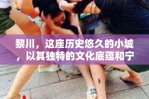黎川，这座历史悠久的小城，以其独特的文化底蕴和宁静的生活节奏吸引着无数游客。然而，在这样一个看似平静的城市里，你是否会好奇，有没有私家侦探机构的存在呢？今天，就让我带你一探究竟。