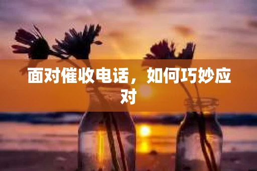 面对催收电话，如何巧妙应对
