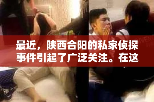最近，陕西合阳的私家侦探事件引起了广泛关注。在这个信息爆炸的时代，隐私保护显得尤为重要。今天，我们就来聊聊这个事件，看看它背后的一些故事。