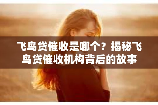 飞鸟贷催收是哪个？揭秘飞鸟贷催收机构背后的故事