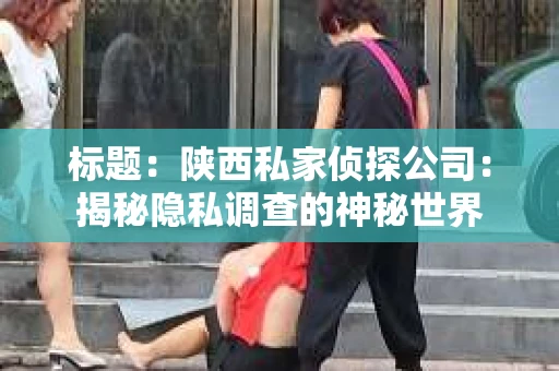 标题：陕西私家侦探公司：揭秘隐私调查的神秘世界