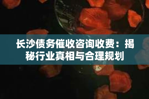 长沙债务催收咨询收费：揭秘行业真相与合理规划