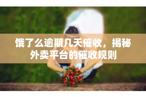 饿了么逾期几天催收，揭秘外卖平台的催收规则
