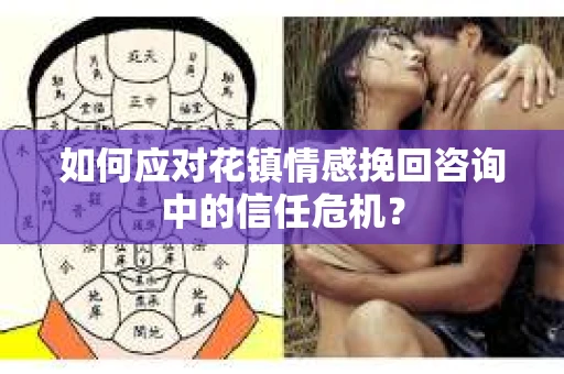 如何应对花镇情感挽回咨询中的信任危机？