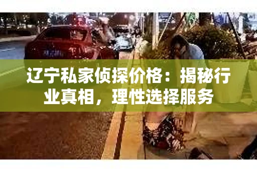 辽宁私家侦探价格：揭秘行业真相，理性选择服务