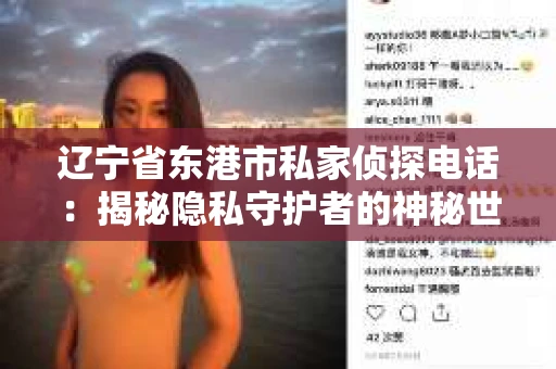 辽宁省东港市私家侦探电话：揭秘隐私守护者的神秘世界