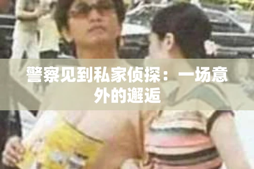 警察见到私家侦探：一场意外的邂逅