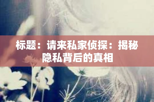 标题：请来私家侦探：揭秘隐私背后的真相