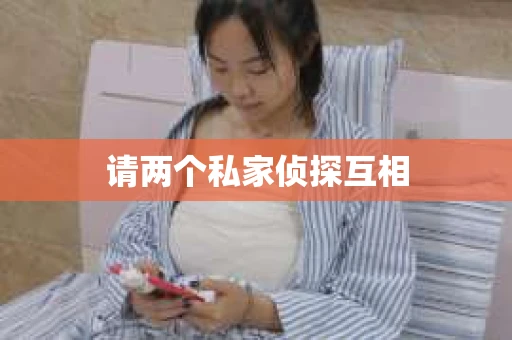 请两个私家侦探互相