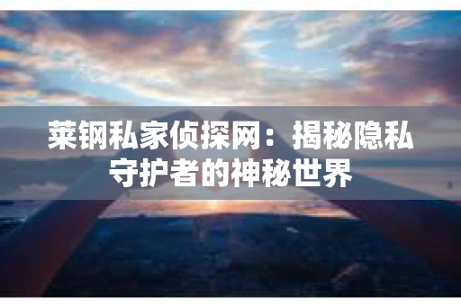 莱钢私家侦探网：揭秘隐私守护者的神秘世界