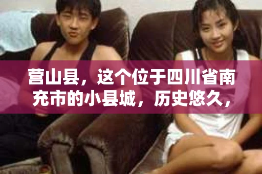 营山县，这个位于四川省南充市的小县城，历史悠久，风景秀丽。但在这个宁静的小县城里，你是否会好奇，有没有私家侦探的存在呢？今天，我就来和大家聊聊这个话题。