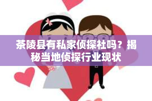 茶陵县有私家侦探社吗？揭秘当地侦探行业现状