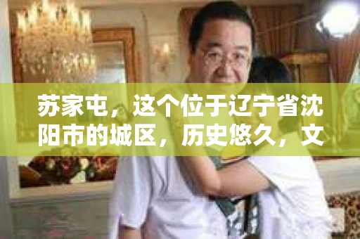 苏家屯，这个位于辽宁省沈阳市的城区，历史悠久，文化底蕴深厚。近年来，随着社会的发展，人们对于私家侦探的需求也逐渐增加。那么，苏家屯有私家侦探吗？今天，我们就来聊聊这个话题。