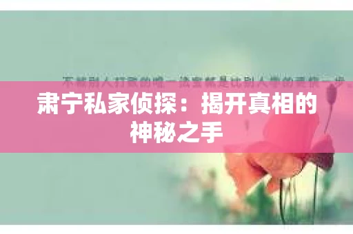肃宁私家侦探：揭开真相的神秘之手