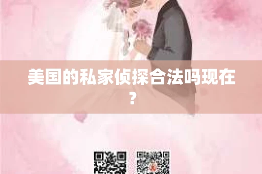 美国的私家侦探合法吗现在？