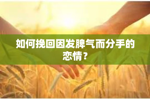 如何挽回因发脾气而分手的恋情？