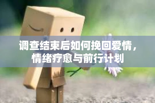 调查结束后如何挽回爱情，情绪疗愈与前行计划