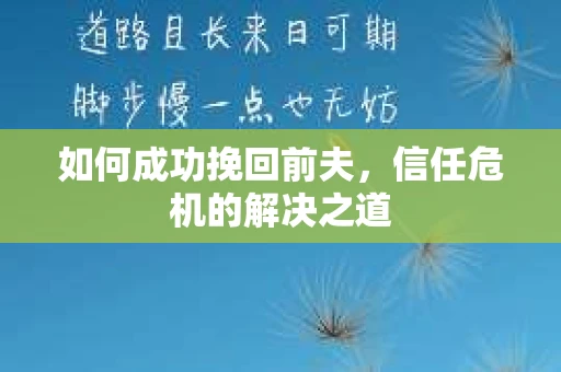 如何成功挽回前夫，信任危机的解决之道