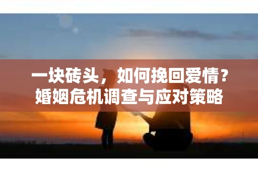 一块砖头，如何挽回爱情？婚姻危机调查与应对策略