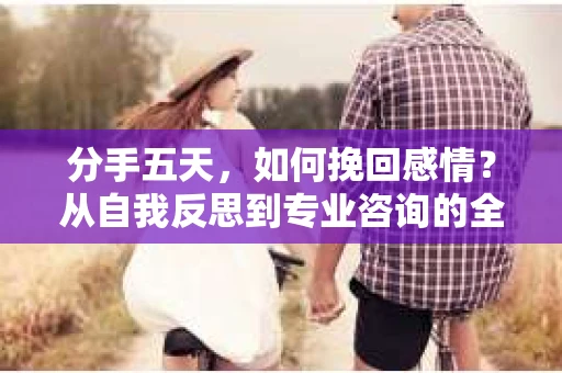 分手五天，如何挽回感情？从自我反思到专业咨询的全面解决方案