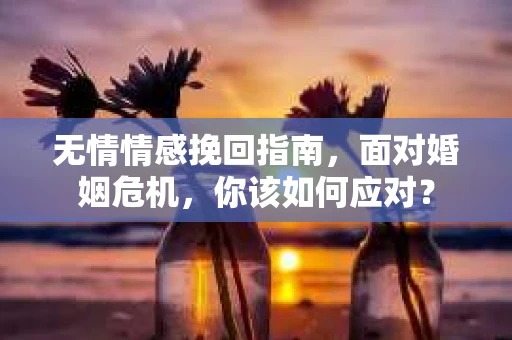 无情情感挽回指南，面对婚姻危机，你该如何应对？