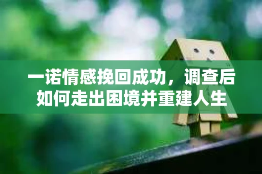 一诺情感挽回成功，调查后如何走出困境并重建人生